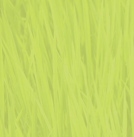 subtlegrass